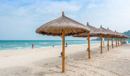 復星旅文錢建農 豐富旅游產品，加強布局海南