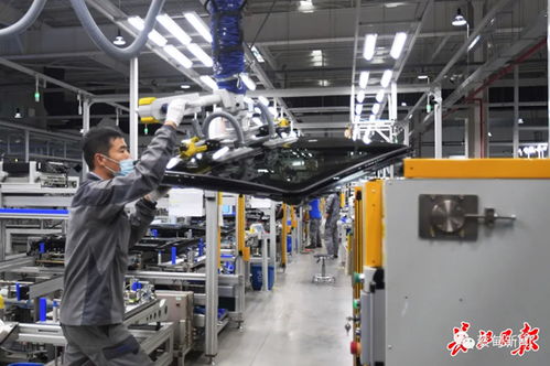 偉巴斯特武漢工廠提前三月投產，區(qū)域外資集聚效應凸顯