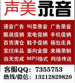 聲畫俱佳，數(shù)字時代的高效觸達 數(shù)碼相機廣告錄音與數(shù)字廣告設(shè)計全攻略